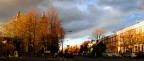 Autumn in NottingHill, London Autumn in NottingHill, London