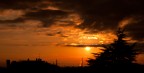 Alba... Alba...