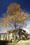 Autumn in Krakov Autumn in Krakov