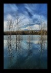 mirror mirror