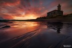 Bibione Red Passion Bibione Red Passion