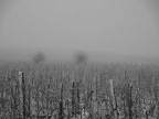 prima neve.....