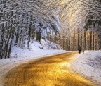 La Strada D'Oro La Strada D'Oro