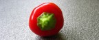 PeperOncino PeperOncino