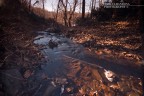 silent river silent river