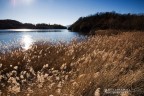 lakescape lakescape
