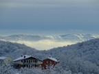 neve neve