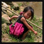 Piccola mondina vietnamita