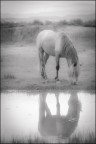 Riflesso Riflesso