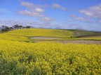 Garden Route - Sud Africa Garden Route - Sud Africa