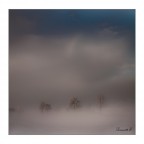 Magia nella nebbia..