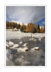 Prima neve Prima neve
