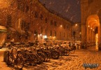 sotto la neve sotto la neve