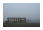 Foschia Foschia