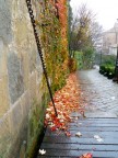 paesaggio autunnale paesaggio autunnale