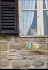 fuori dalla finestra..