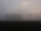 alba in lomellina
