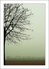 Ancora un po' di luce invernale.. Ancora un po' di luce invernale..