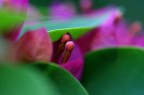Colori Colori