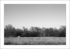 Campagna - bn Campagna - bn