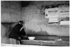 03 coccodrillo (ri) 2010 - kodak tri-x 400 03 coccodrillo (ri) 2010 - kodak tri-x 400