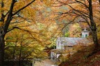 Autumn postcard Autumn postcard