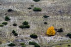 Gran Sasso terra d'autunno Gran Sasso terra d'autunno