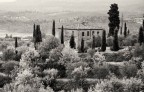 Casolare di campagna Casolare di campagna