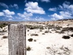Deserto lampedusano Deserto lampedusano