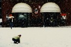 ...e nevica...2 ...e nevica...2