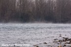 Ticino Ticino