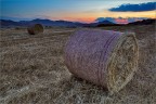 Rolling Hay Bale