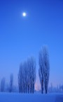 Silenzio Silenzio