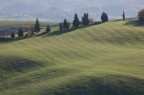 Campo di velluto Campo di velluto