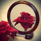 Bellezza Bellezza