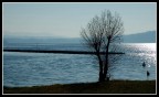 lago lago