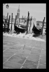 Foto scatta nei pressi di piazza San Marco, in giornate di acqua alta....