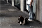 ... il guardiano ... ... il guardiano ...