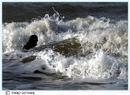 TRA LE ONDE TRA LE ONDE