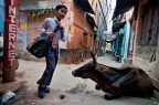 the Incredible India 3 the Incredible India 3