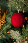 Auguri! Auguri!