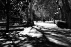 Viale Madrid