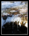 Acqua o ghiaccio? Acqua o ghiaccio?