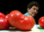 La mamma e i pomodori La mamma e i pomodori