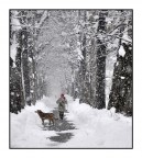 Nulla ci puo' fermar...