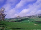 Mussomeli-Terra-di-Sicilia