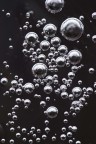 bubbles ice -1 bubbles ice -1