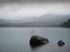 La vita è ovunque... La vita è ovunque...