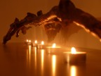 Candele e un ramo Candele e un ramo