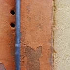 muro